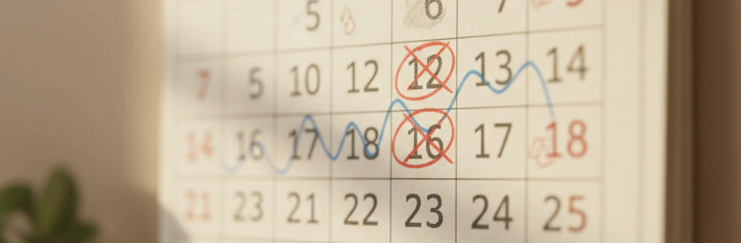 Close-up of a wall calendar grid with two dates circled in red ink