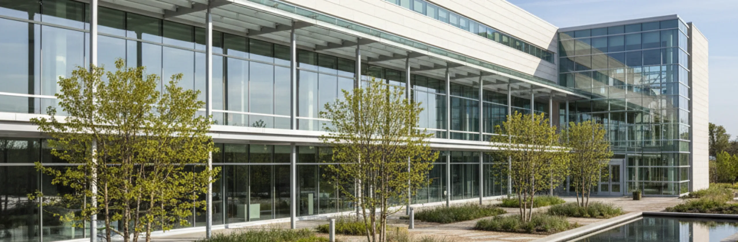 Glass-walled building exterior with young trees and a shallow reflecting pool along the facade